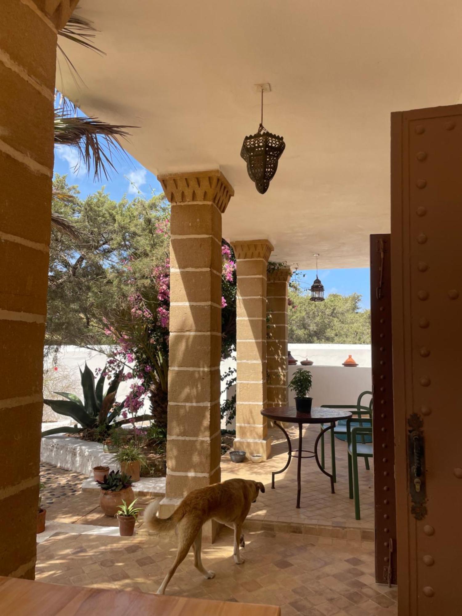 Hotel Villa Soleil 西迪考乌奇 外观 照片